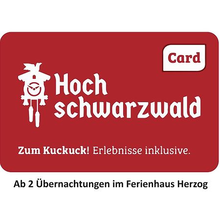 Ferienhaus Haus Herzog Titisee-Neustadt Exterior photo